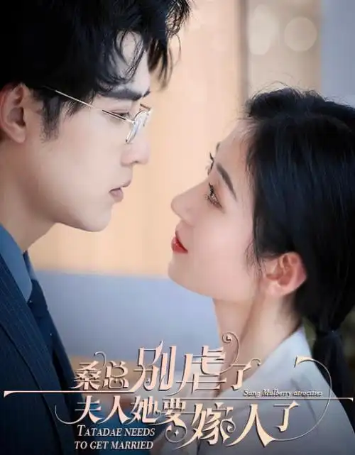 热播电视剧全集《长夜将尽》高清海报